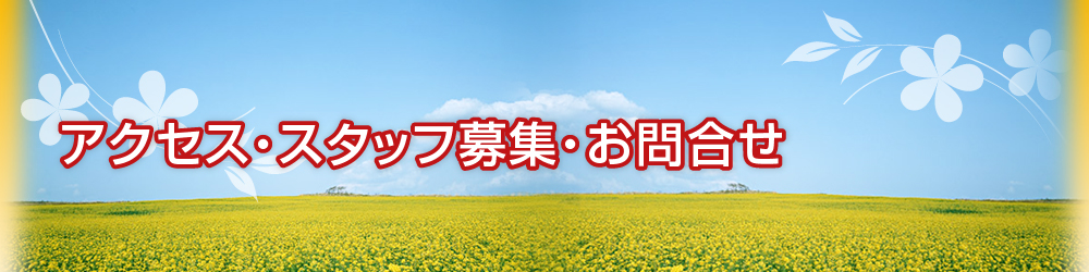 アクセス・スタッフ募集・お問合せ