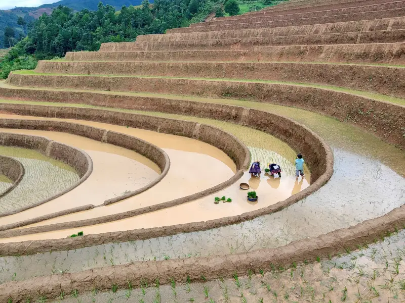 建筑五金紧固件选型指南：膨胀螺栓与化学锚栓的适用场景对比